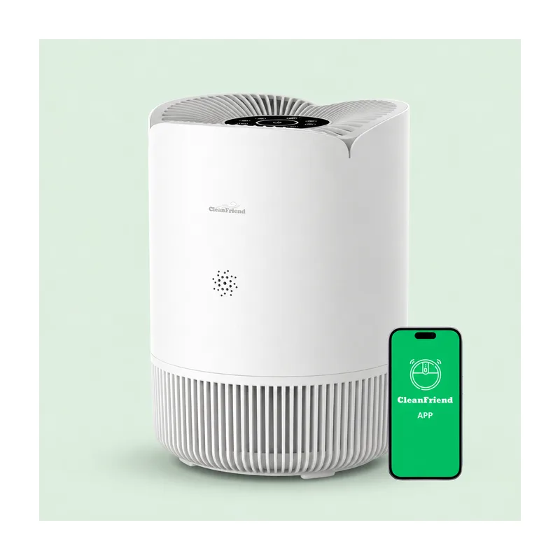 CleanFriend AirFlow30